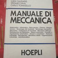 Manuale di meccanica