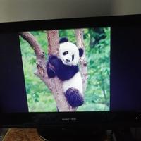 TV  LED UNITED DA 19"