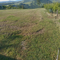 Lavoro per arrotondare per privato