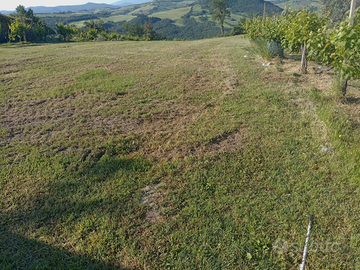 Lavoro per arrotondare per privato