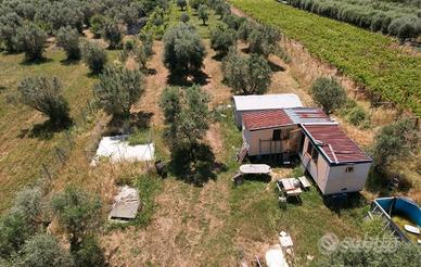 Terreno Agricolo per Allevamento