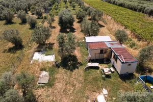 Terreno Agricolo per Allevamento