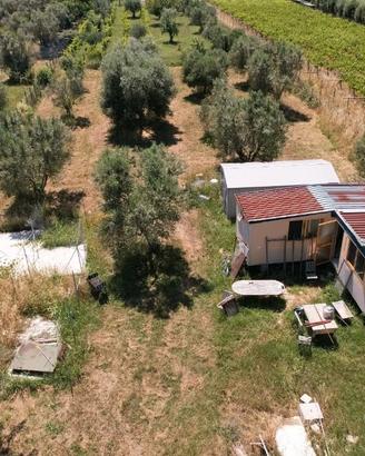 Terreno Agricolo per Allevamento