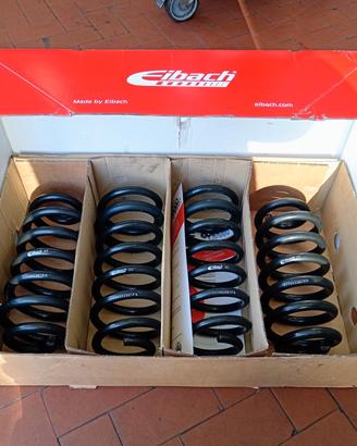 Molle eibach per Audi a6 c8 