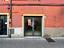 Immagine 15