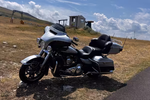 Harley Davidson