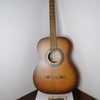 Chitarra acustica E-Ros Modello 800 Concord