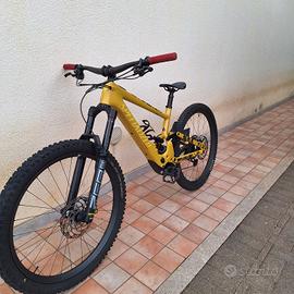Specialized kenevo sl 2  tg s4