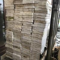 250 POLISTIROLI PER SEMINA PIANTI