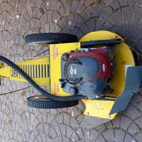 Rasaerba Sfalciatutto