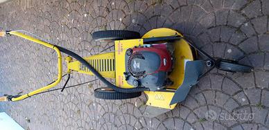 Rasaerba Sfalciatutto