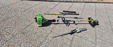 DECESPUGLIATORE, TAGLIA RAMI, TAGLIA SIEPE. 