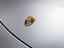 Immagine 28