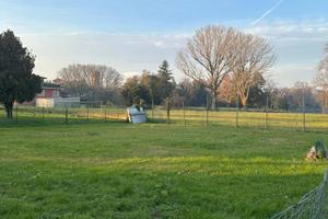 Terreno edificabile in Vicolo Giorgione - Quinto d