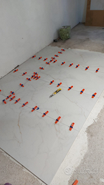 Pestrilesta / cartongesso pittura