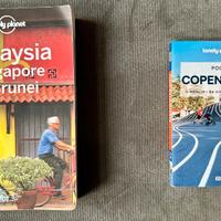 Guide Lonely Planet