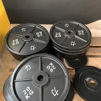 Dischi palestra