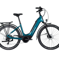 Bici elettrica da passeggio