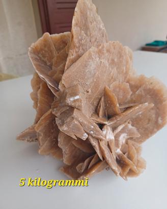 rosa del deserto 