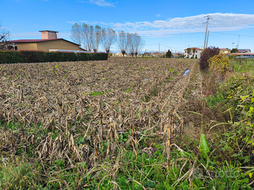 Terreno edificabilie e agricolo