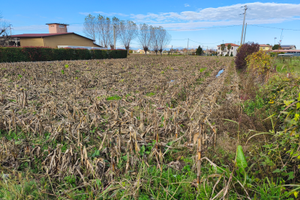 Terreno edificabilie e agricolo