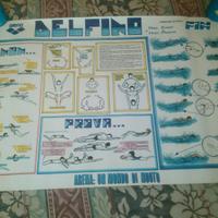 LOCANDINE VINTAGE NUOTO FIN