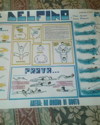 LOCANDINE VINTAGE NUOTO FIN
