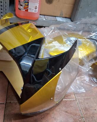 carene minimoto