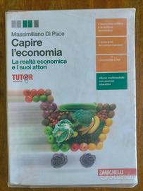 Libri economia