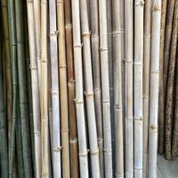 Canne di bambù per composizioni