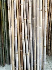 Canne di bambù per composizioni
