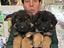 Immagine 26