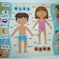 gioco in scatola Lisciani "Scopri il corpo umano"