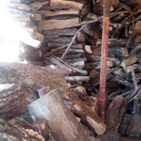 Legna ASCIUTTA e al coperto 