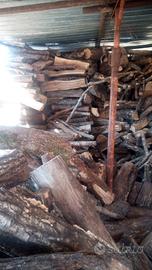 Legna ASCIUTTA e al coperto 