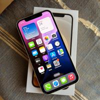 IPhone 12 Silver (Bianco) 128 gb