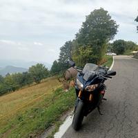Yamaha FZ1 Fazer - 2007