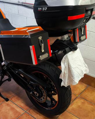accessori KTM bauletti in carbonio 