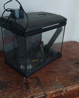 acquario mira 30 