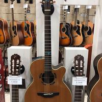 Chitarra acustica elettrificata Takamine Santafe