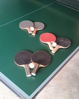 Tavolo da ping pong