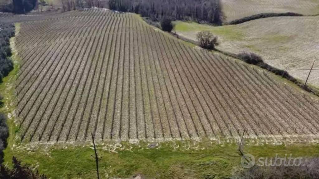 Immobile in asta di 60785 m² a Certaldo - Vista 2