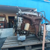 motore fiat om 4 cilindri