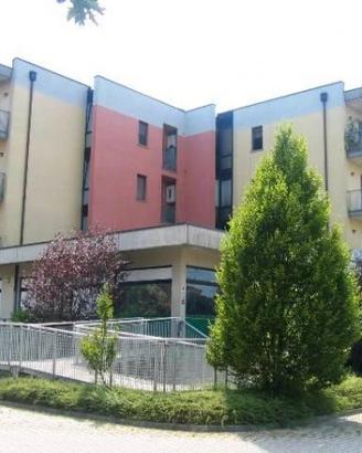 Negozio a Mirandola (MO)