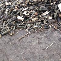 legna da ardere secca 