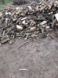 legna da ardere secca 