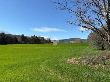 TER. AGRICOLO A AMELIA