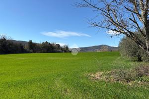 TER. AGRICOLO A AMELIA