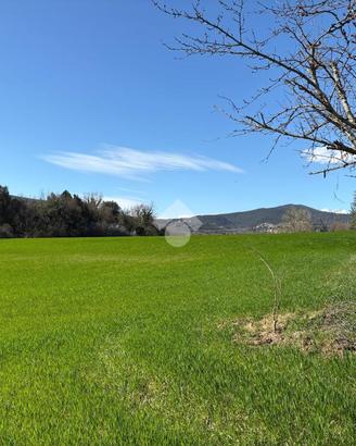 TER. AGRICOLO A AMELIA