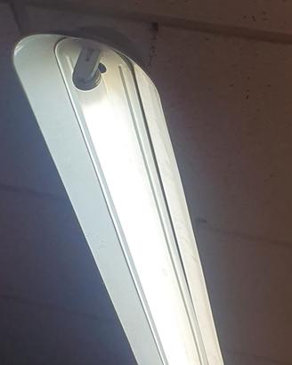 lampade a neon vintage